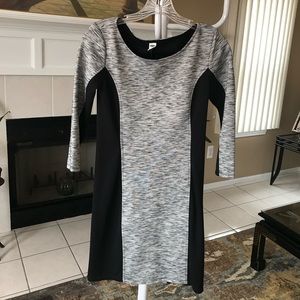 Stretchy 3 quarter Dress